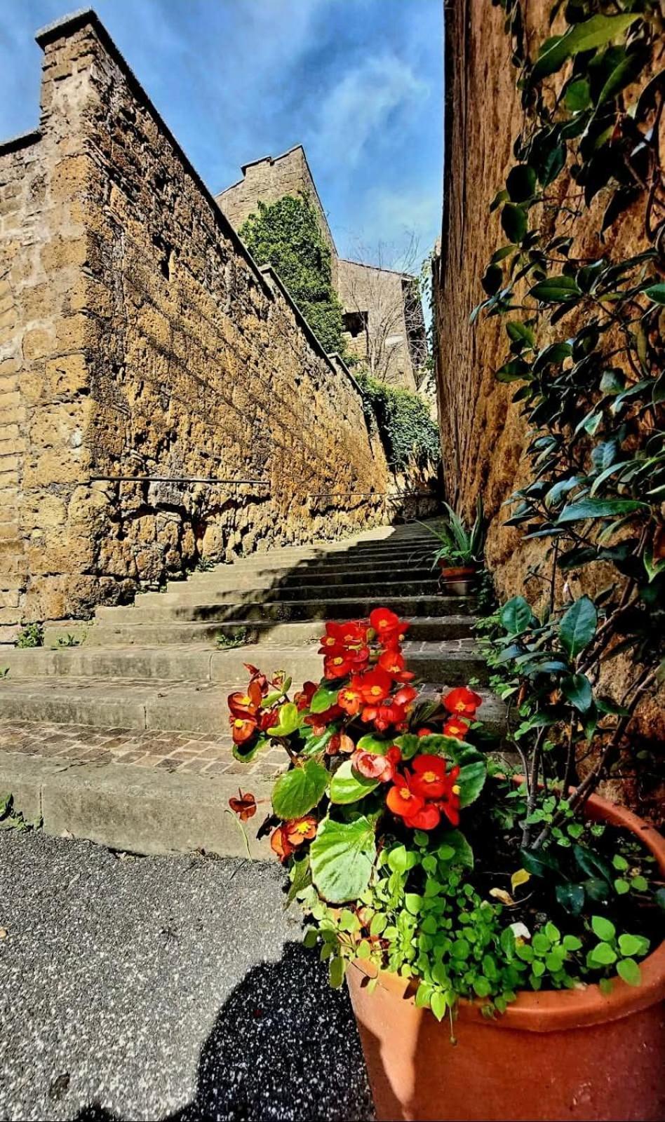 Una Pausa Dalla Citta Nepi Exterior photo